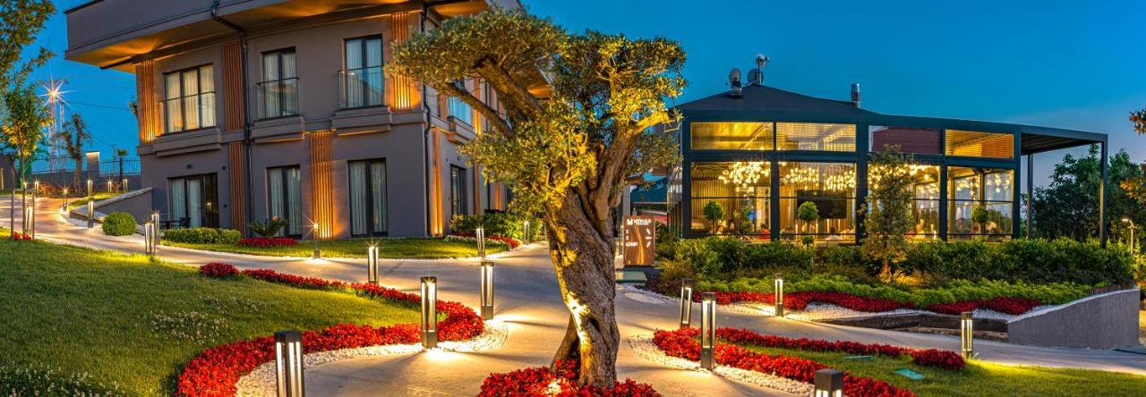Menalo Hotel Premium Istanbul Airport Exterior photo The photo depicts a beautifully landscaped outdoor area featuring a large, illuminated tree at the center. Surrounding the tree are vibrant flower beds with red blooms, adding a striking contrast to the scene. The pathway is lined with modern light f